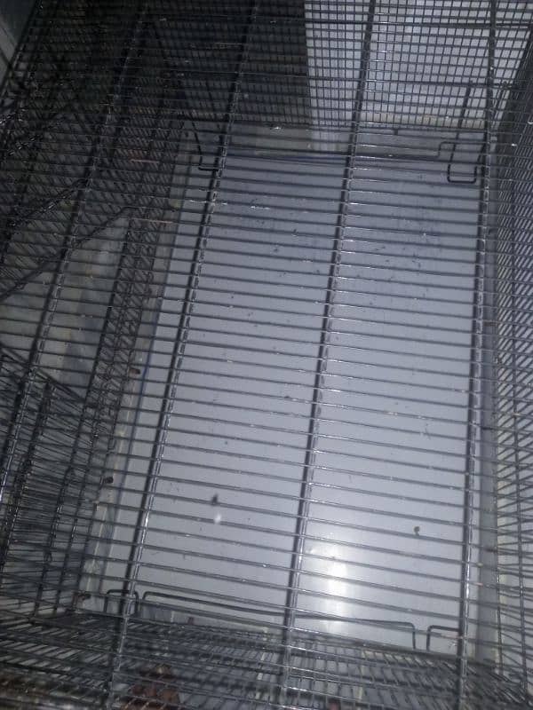 lovebirds cage 2