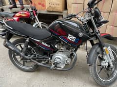 YAMAHA YBRG 125 2024