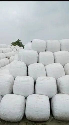 silage | Corn silage | khushak | silage company | cow feed 1