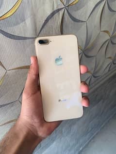 8 plus non pta