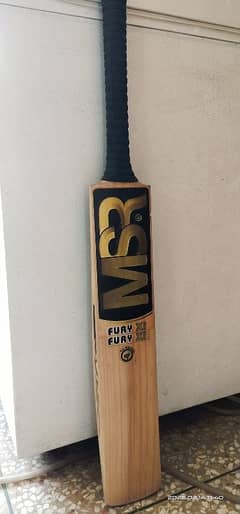 Hard ball cricket bat