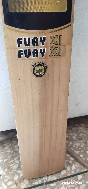 Hard ball cricket bat 1