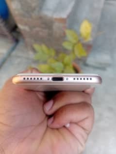 IPHONE 8 NON PTA FACTORY UNLOCK 64 GB