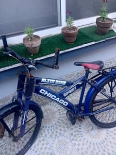 bicycle for sale