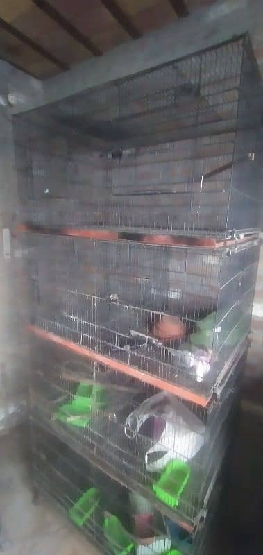 MASTER 8 PORTIONS FOLDING CAGE FOR SALE 1