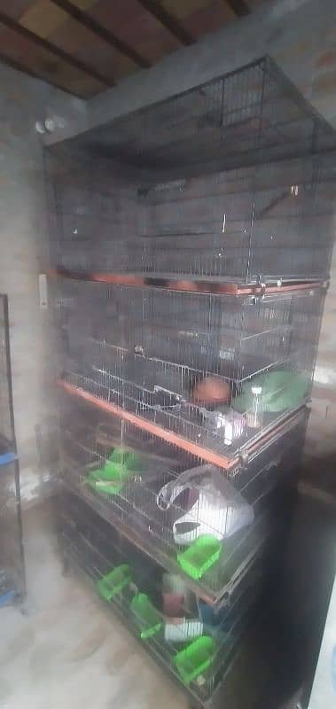 MASTER 8 PORTIONS FOLDING CAGE FOR SALE 2