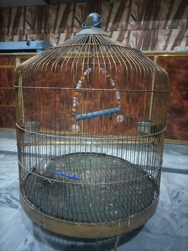 Parrot Cage 1