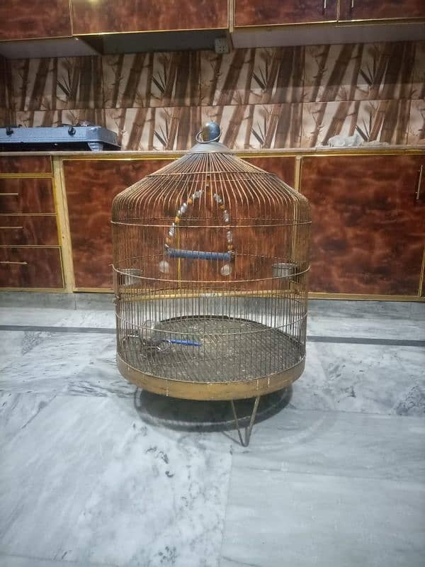 Parrot Cage 3