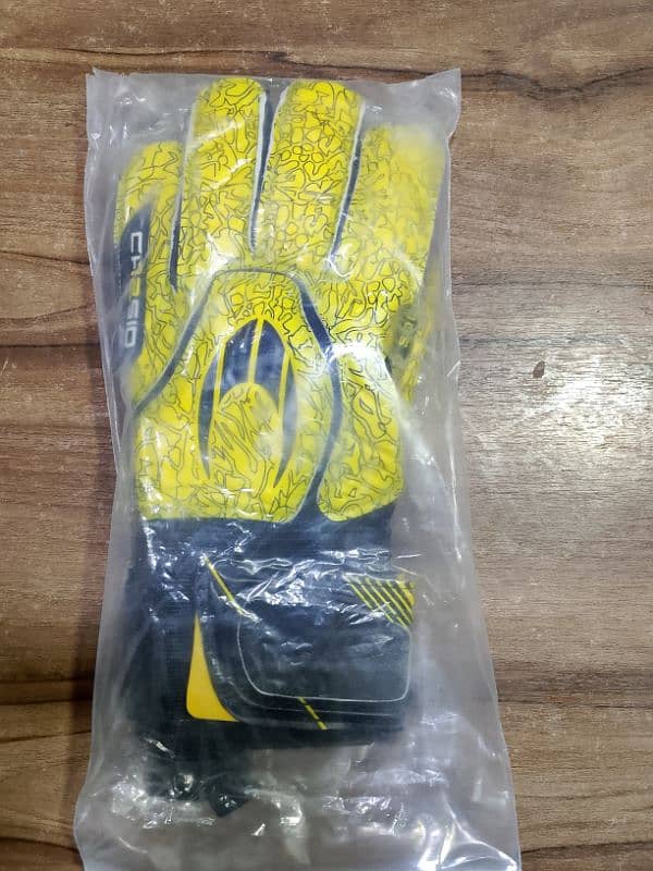 Sports Gloves 1