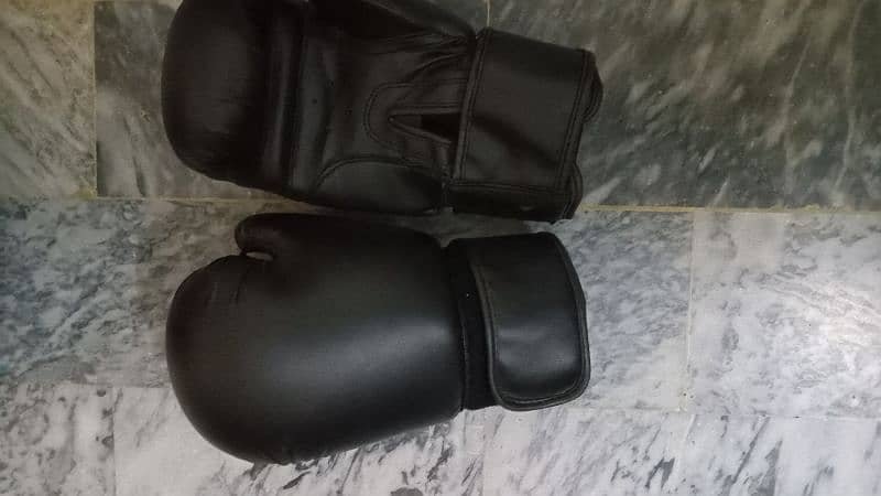 Punching bag and Boxing Gloves 1