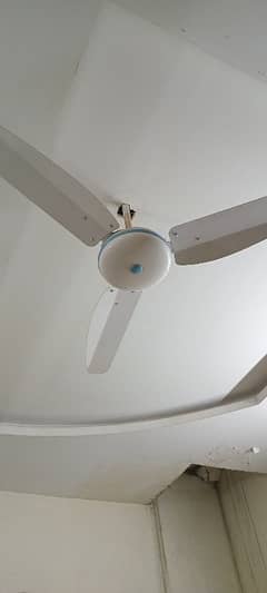 ceiling fans