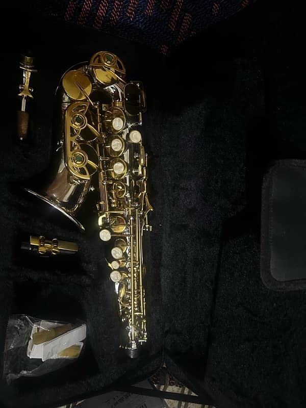 Alto saxophone 2