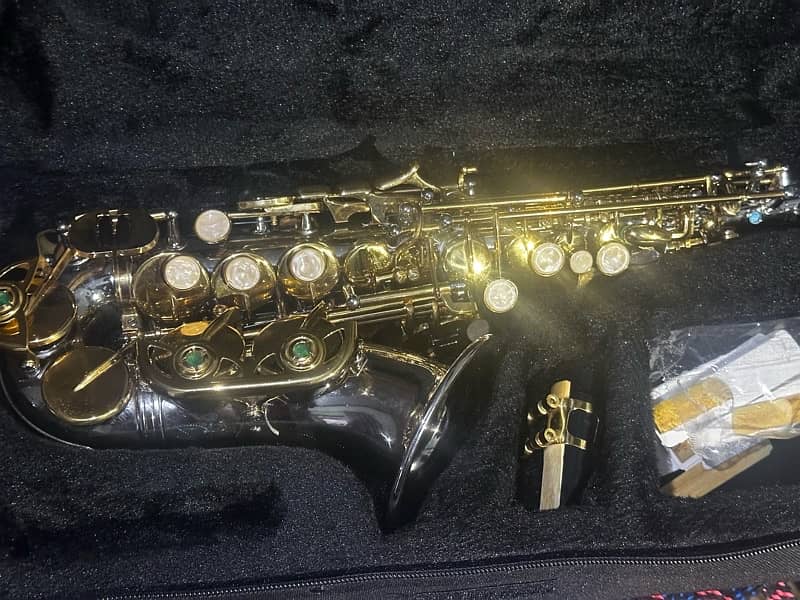 Alto saxophone 3