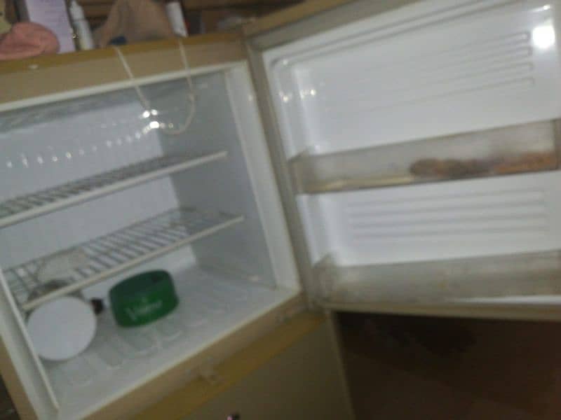 medium size refrigerator 2