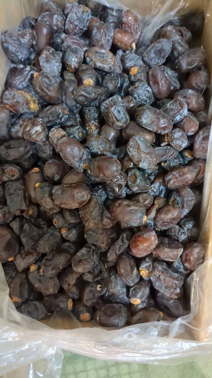 Imported Irani Dates 3