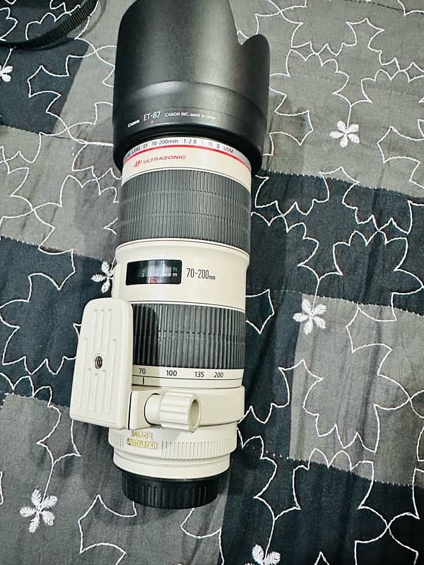 canon 70-200 f2.8 is ii 8