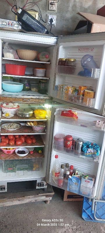 Medium Pel Fridge 6