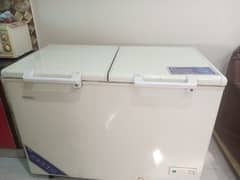 Haier D Freezer double door