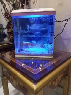 Fish Tank