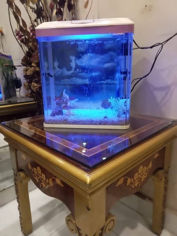 Fish Tank 2