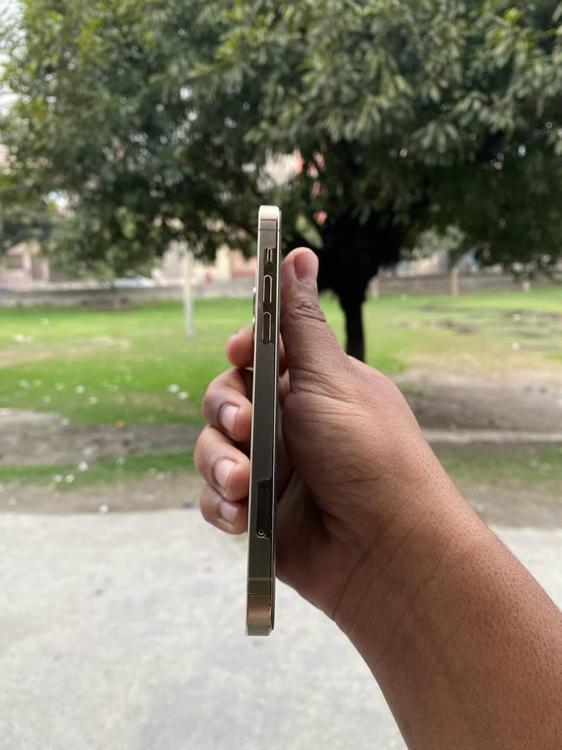 iPhone 12 Pro Gold 10/10 Dual Sim PTA 5