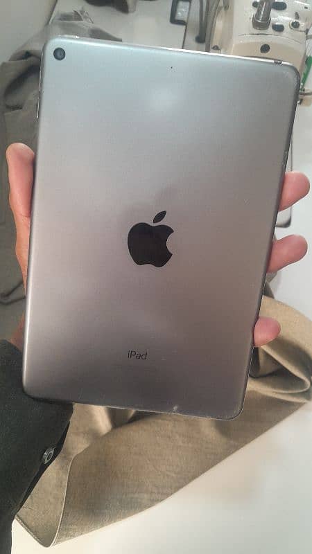 ipad mini 5 0