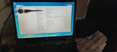 Laptop HP 2gb our 300 gb hard