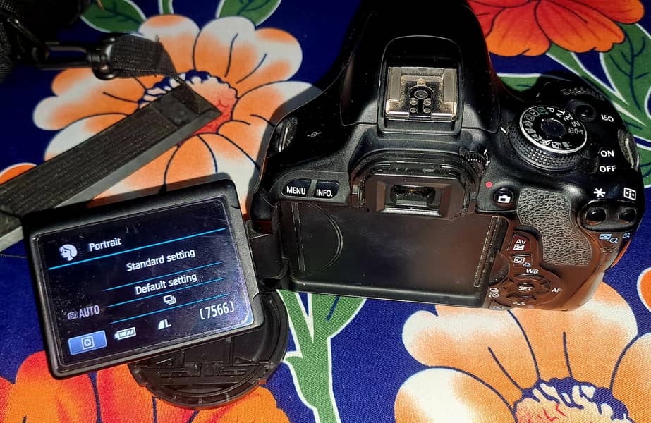 Camera, DSLR, Canon 600D 0