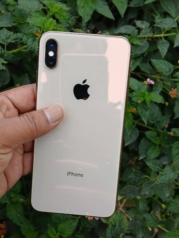 iPhone Xs Max 0