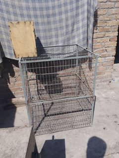 ringneck parrot cage