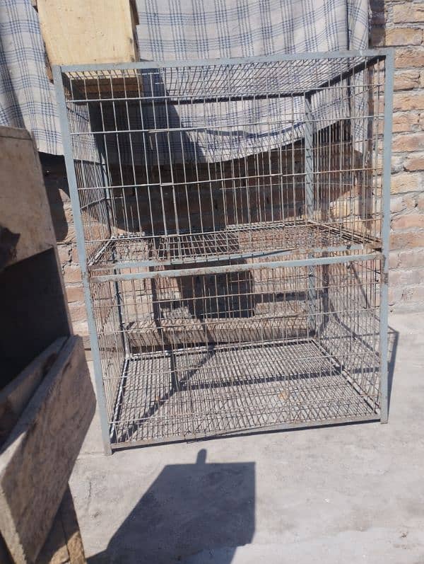 ringneck parrot cage 1