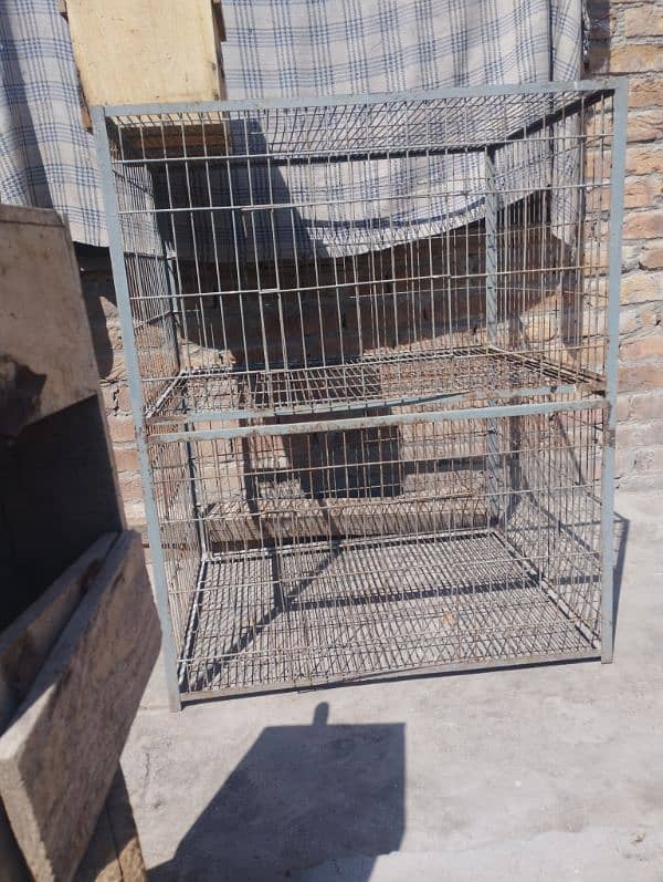 ringneck parrot cage 2