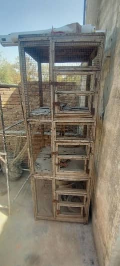 3 portion cage for sale