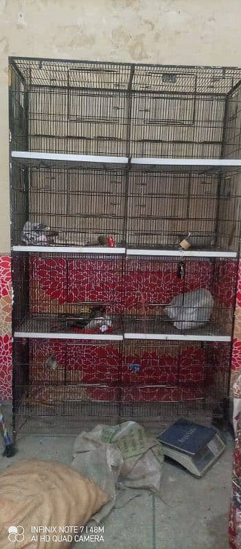 love bird cage 0