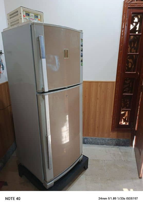 Dawlance Fridge (Refrigerator) 1