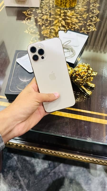 iphone 12 pro max pta approved 11