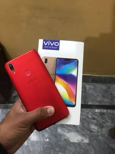 vivo