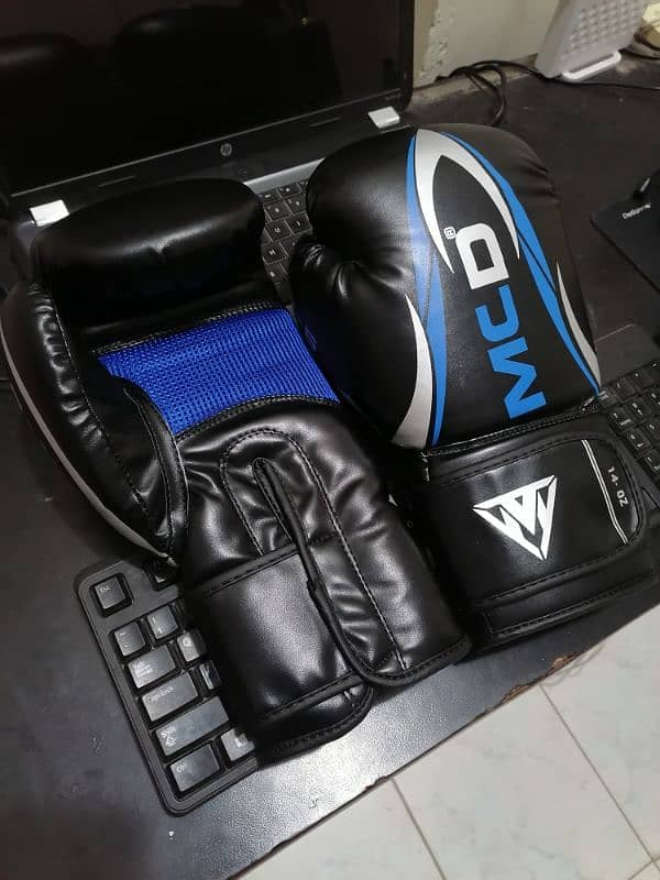 Boxing/Punching Bags with Gloves + Chain 1