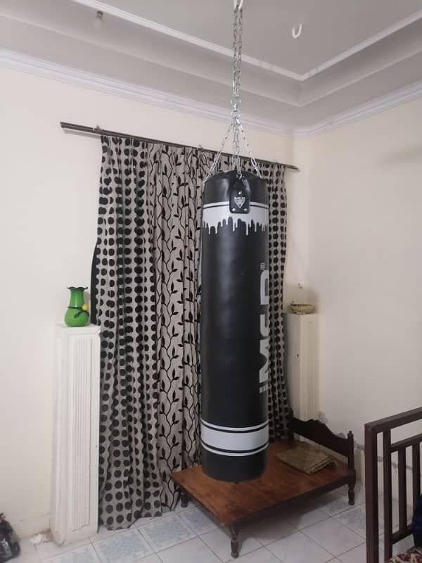 Boxing/Punching Bags with Gloves + Chain 2