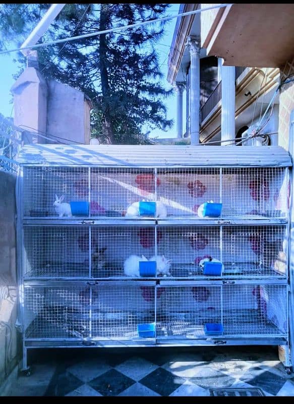 Cage for Sale 0