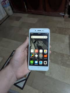 vivo y53 model ha official pta approved with box