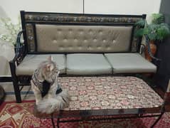 3 seater sofaa with table