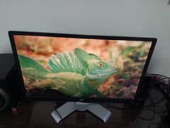 Hp 24 Inch LED Ips