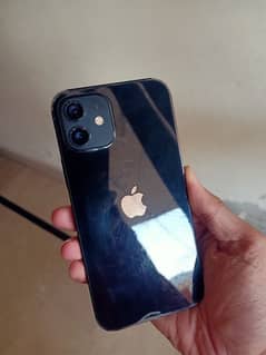 iPhone 12 non