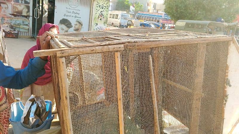 cage good condition 3