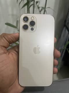 iphone 12 Pro Golden