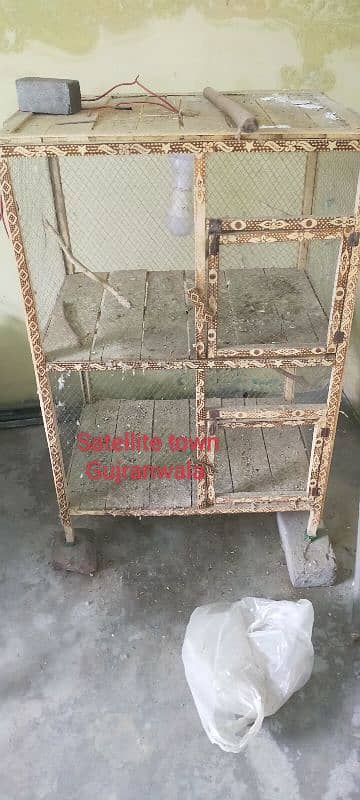 Breeder Love Bird for Sale + Wooden Cage 2