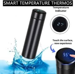 Temperature display water bottle