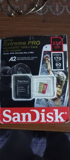 sandisk