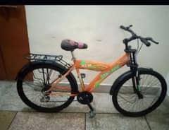 cycle . O319. . 9934 39O